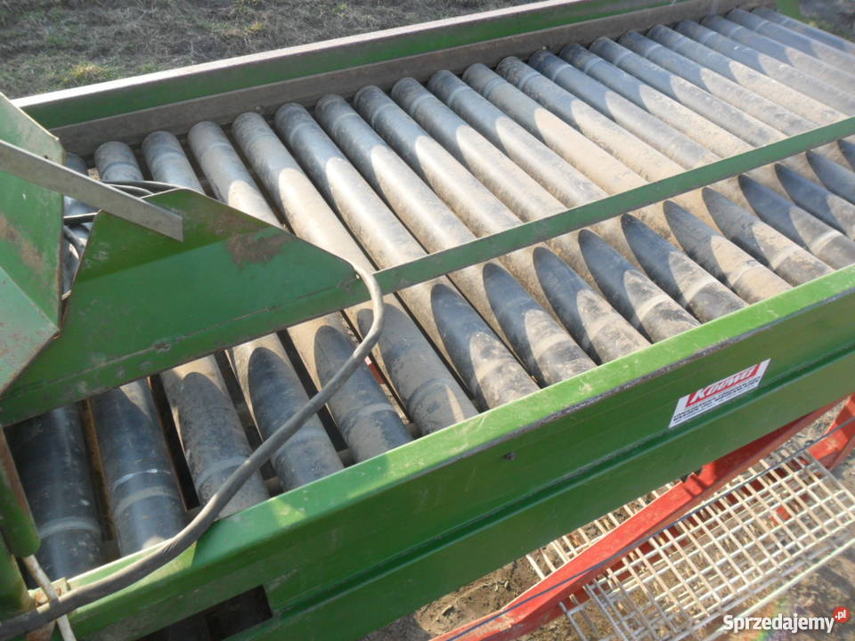 sortownik do ziemniaków cebulu remprodex kujawsko-pomorskie Brodnica sprzedam