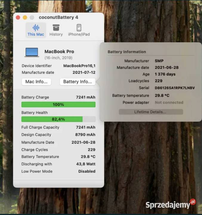 MacBook Pro 16 2019 32GB 512GB i7 229 cykli 16-16.9" Kraków