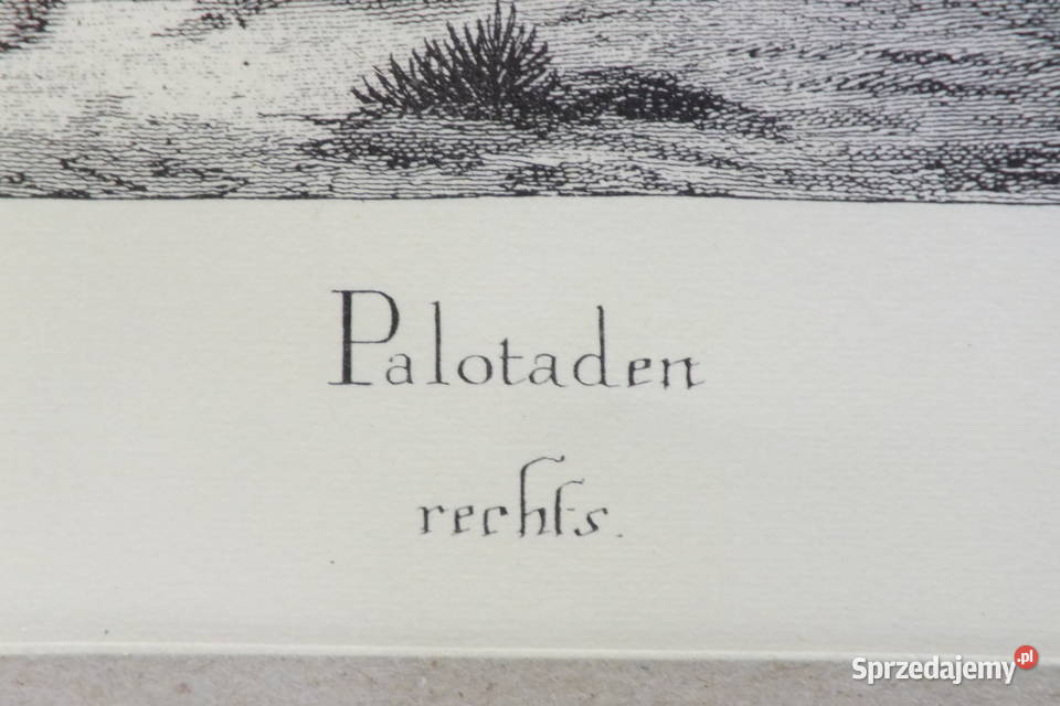 Johann Elias Ridinger Zestaw 2 miedziorytów 1734