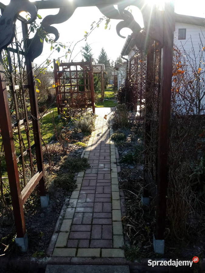 Sprzedam działkę ROD sprzedam