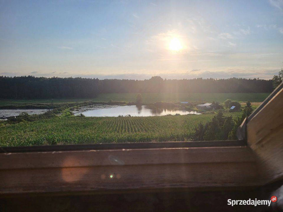 Dom z widokiem na stawy i las Zielątkowo