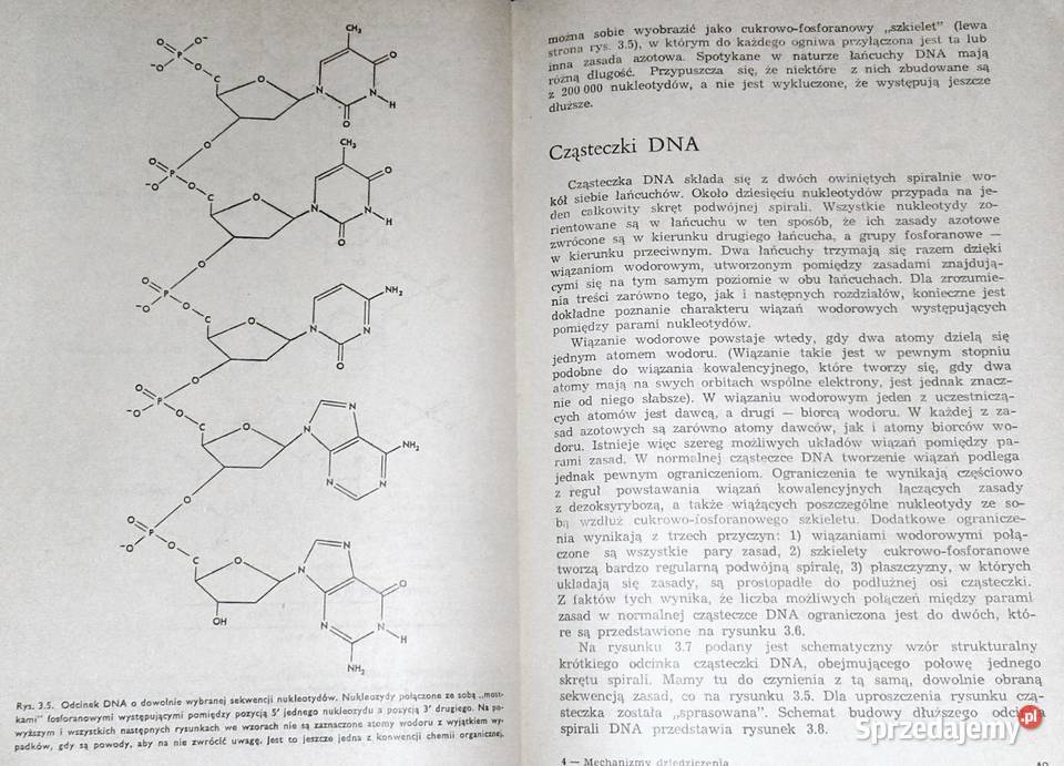 Mechanizmy dziedziczenia Franklin W Stahl miękka Chełm