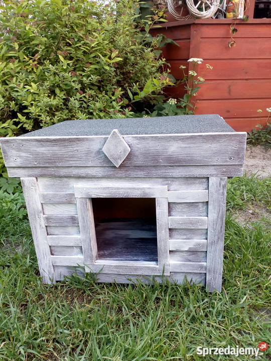 Buda małego psa kota Grodziec