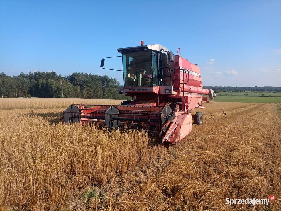 Kombajn Massey Ferguson 30 Massey Ferguson Jastrzębia sprzedam