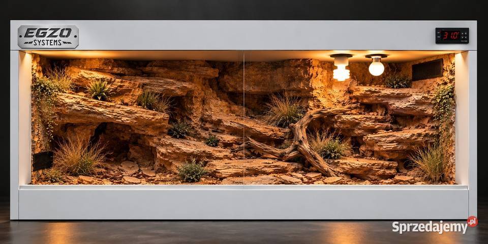 Terrarium pustynne gekona lamparciego agamy Leszno