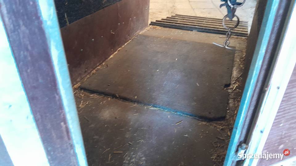 Przyczepa na koniec 15konia na kategorie B mazowieckie Kazimierówka sprzedam