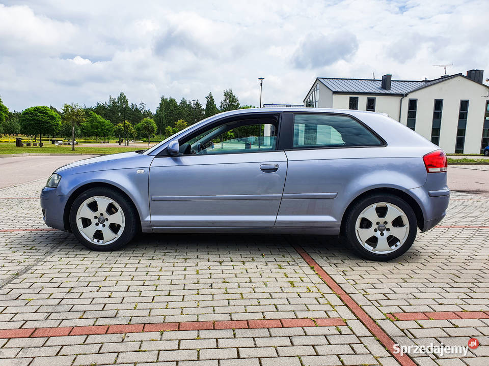 Audi A3 8P 19 TDI BKC Grabowo Kościerskie