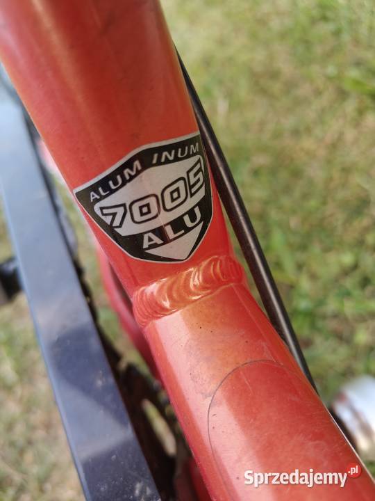 Rower aluminiowy Pegasus 7 biegów NEXUS Aleksandrów Łódzki