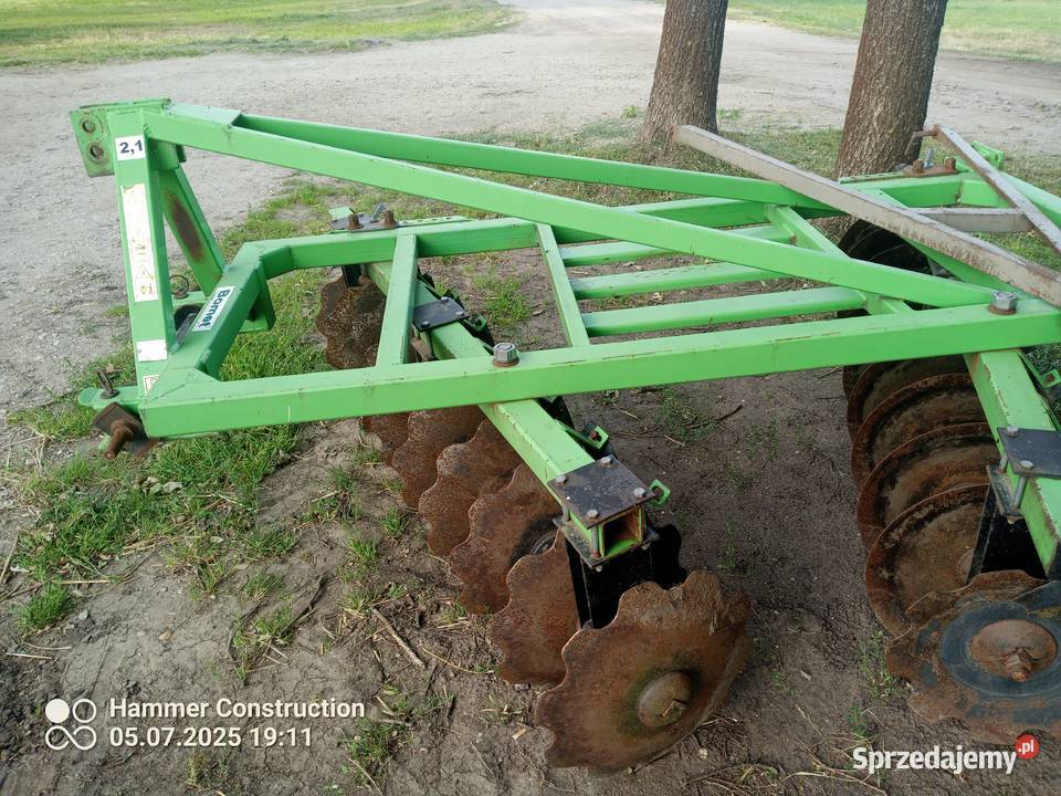 Talerzowka nieuszkodzony Kolno