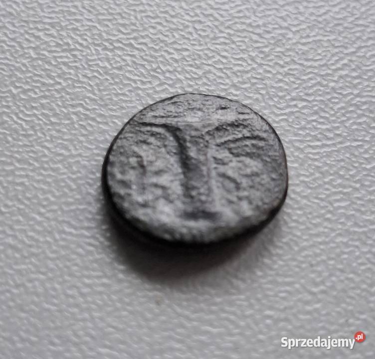 Moneta antyczna Grecja Aeolis Kyme 350250 BC 3 Wejherowo