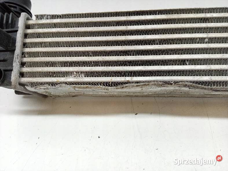 INTERCOOLER CHŁODNICA 19 DCI Renault Scenic III