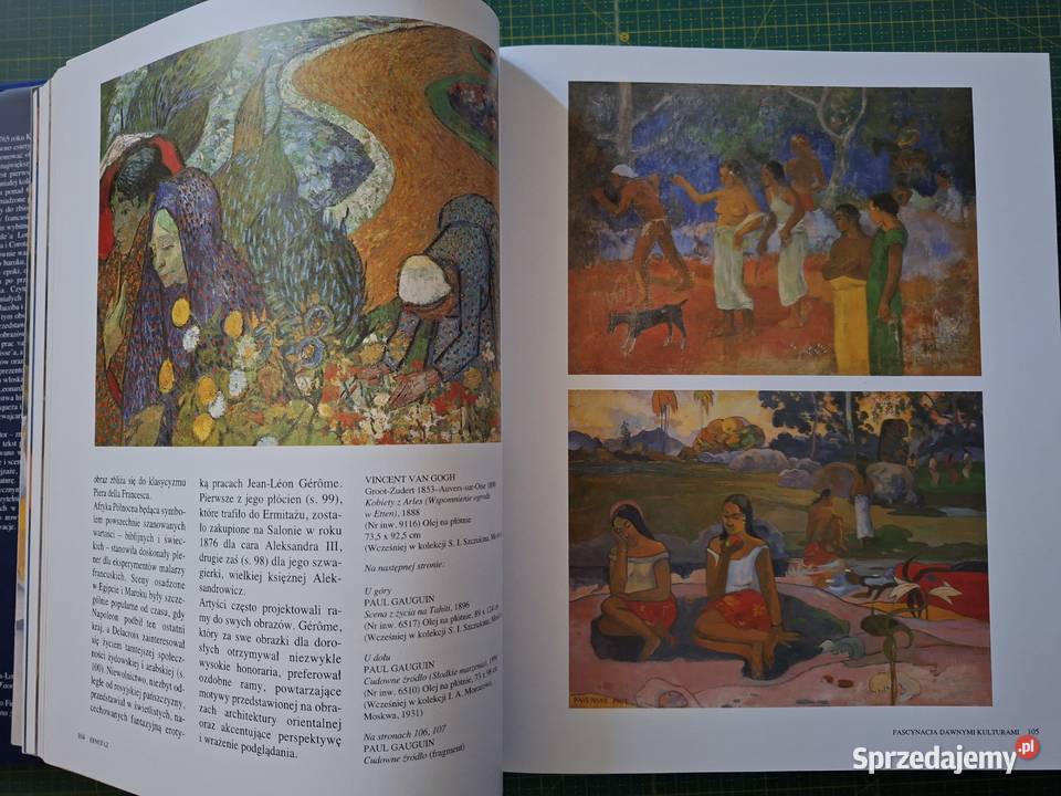 Arcydzieła malarstwa Ermitaż Colin Eisler Arkady Kraków