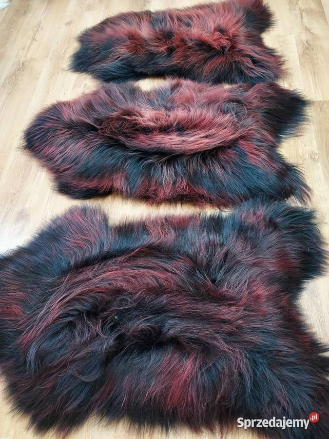 Skóra Owcza Czarna z Bordo Skóry Owcze Czarne z Szaflary