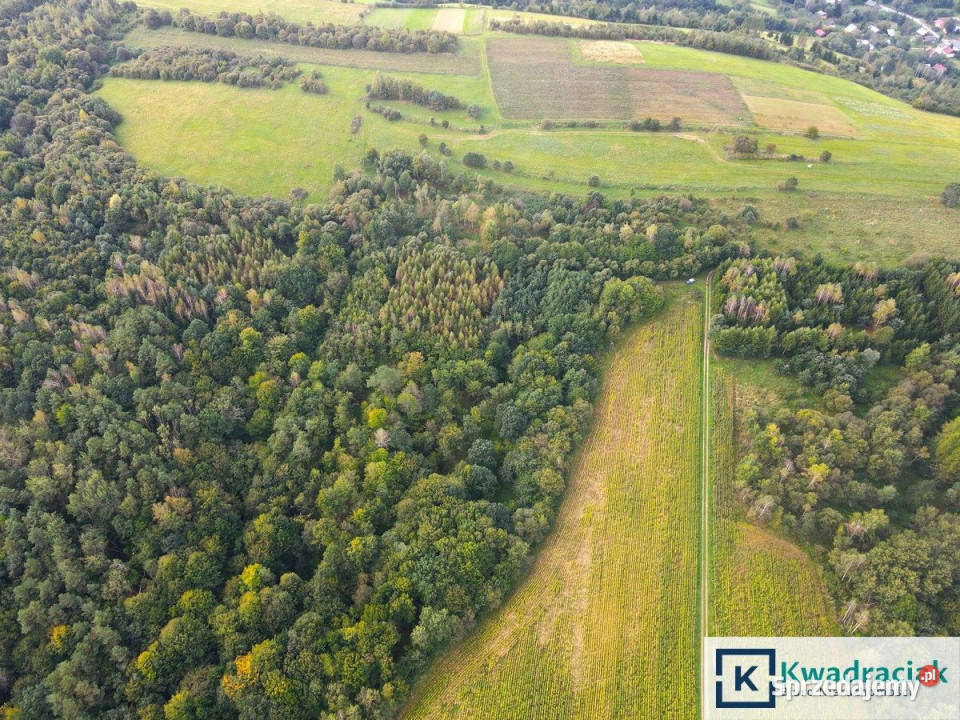 Działka 23000m2 Witryłów podkarpackie