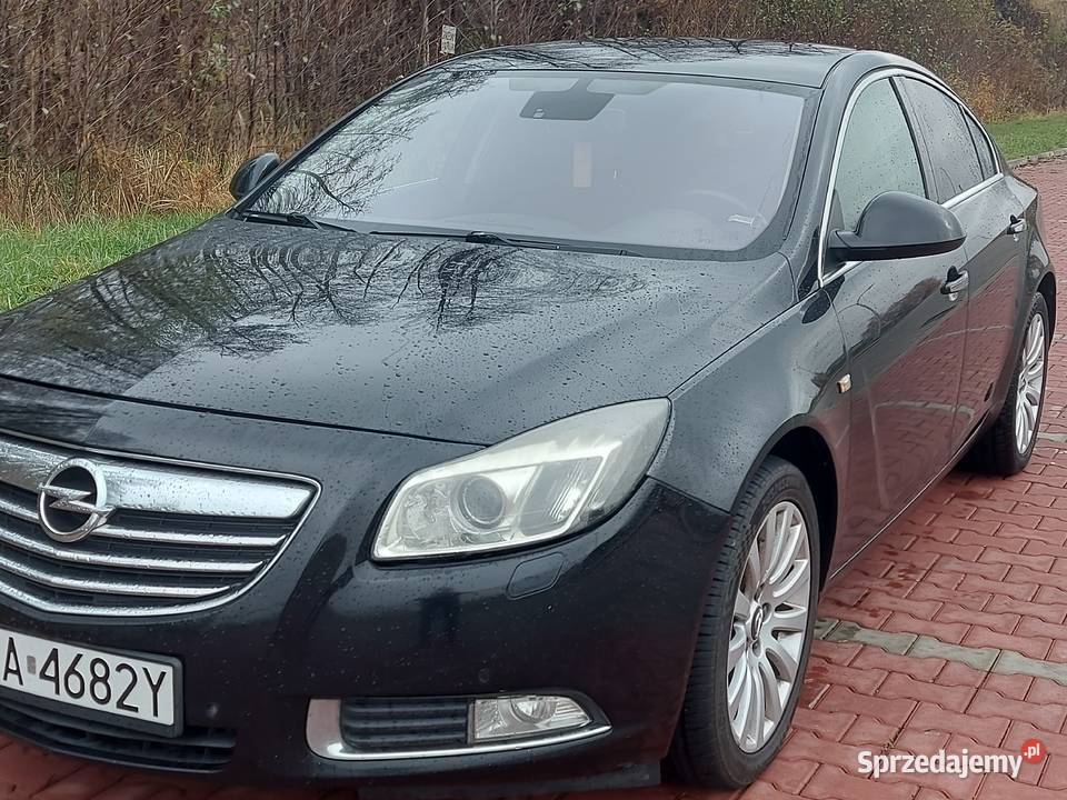 Opel INSIGNIA 20 160 2009 Ostrowiec Świętokrzyski