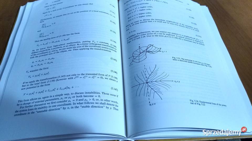 Synergetics an introduction nonequilibrium phase ISBN 0387078851 pomorskie Gdańsk sprzedam