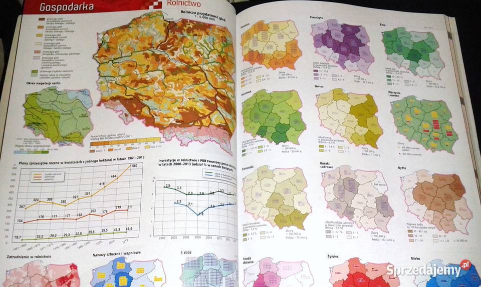 Szkolny atlas Polski ponad 590 ilustracji Rok wydania 2017 Chełm sprzedam