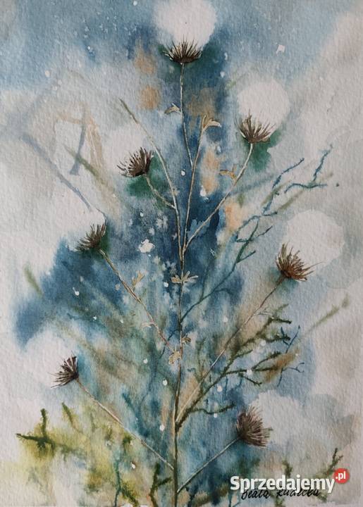 Akwarela Akwarelka Obraz pt Ostrożeń Polny sprzedam