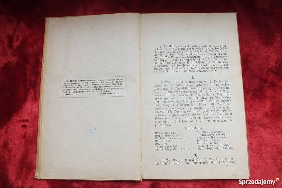 Stara niemiecka książka wydana w 1917 roku Antykwariat Żary