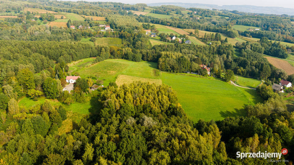 Na sprzedaż działka z domem w Lichwinie małopolskie Lichwin