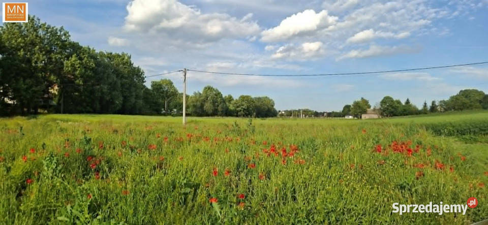 Grunt Marszowice 1000m2