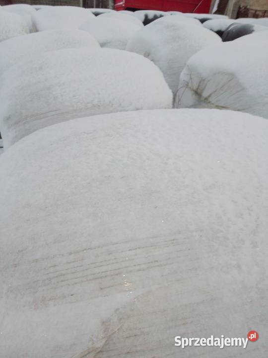 Baloty sianokiszonki Kwileń sprzedam