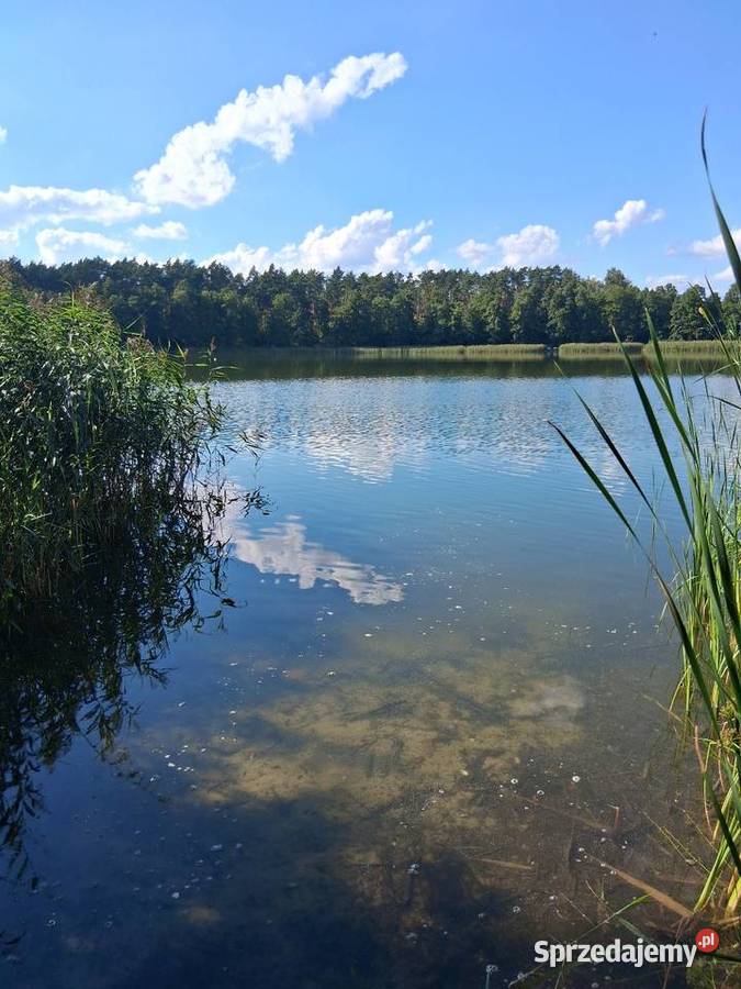 Dzialka budowlana Sprzedaż Bukowiec sprzedam