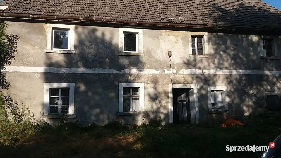 Dom z polem i lasem wolnostojący