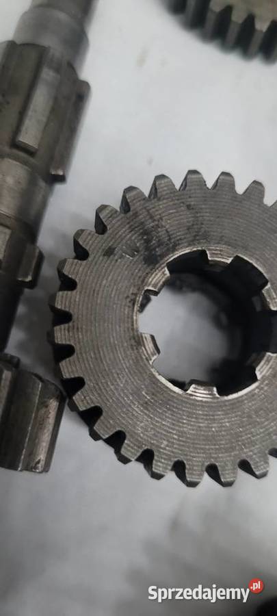 Shl Wfm Osa kujawsko-pomorskie Rypin