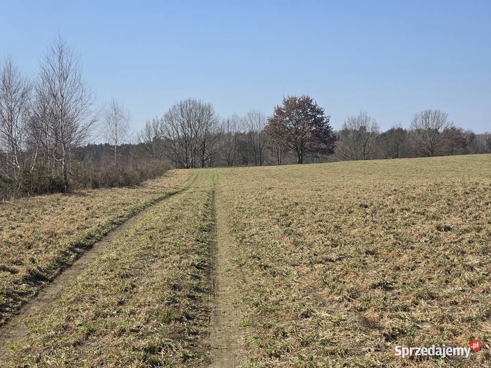 Budowlana Jezioro Dąbrowa warmińsko-mazurskie Dąbrówno