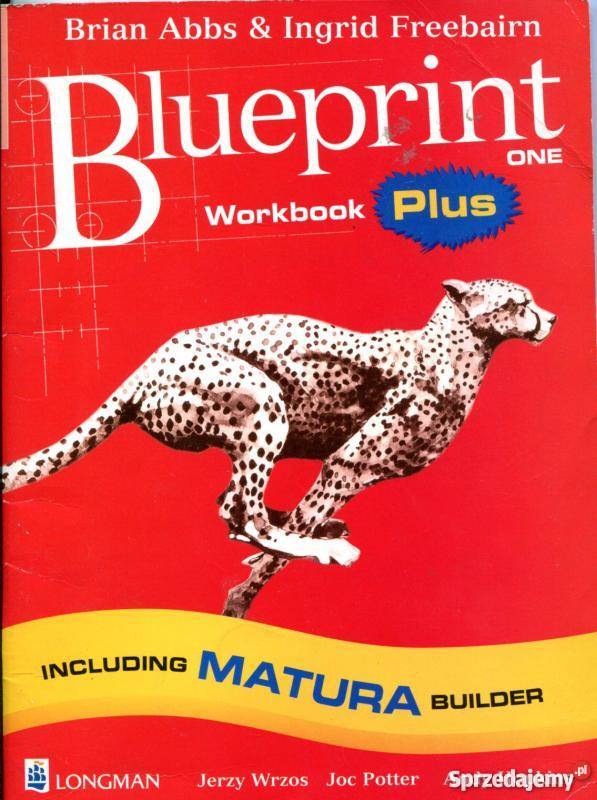 BLUPRINT ONE WORKBOOK PLUS