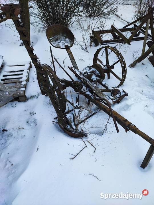 Sprzedam kopaczkę elewatorową i kosiarkę konną Strzelce Wielkie