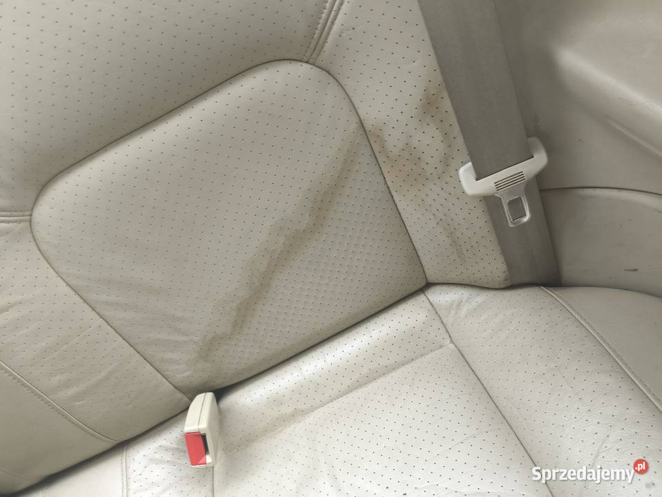 Beetle 20 baja zawieszenie wielkopolskie Poznań