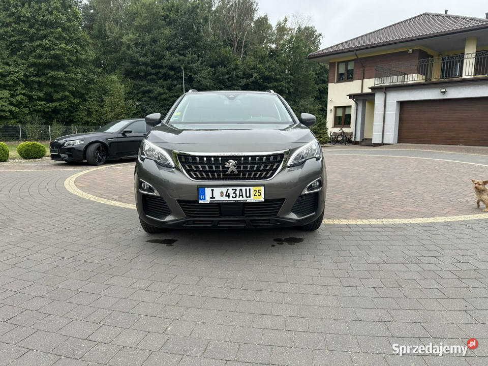 Peugeot 3008 II 2016 bluetooth Lipówki