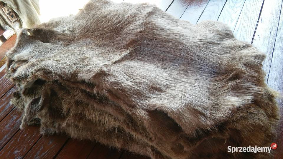 skóry z nutrii Kłomnice