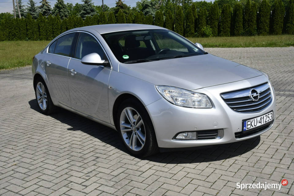 Opel Insignia 20d DUDKI11 NaviKlimatr 2str wielofunkcyjna kierownica Kutno
