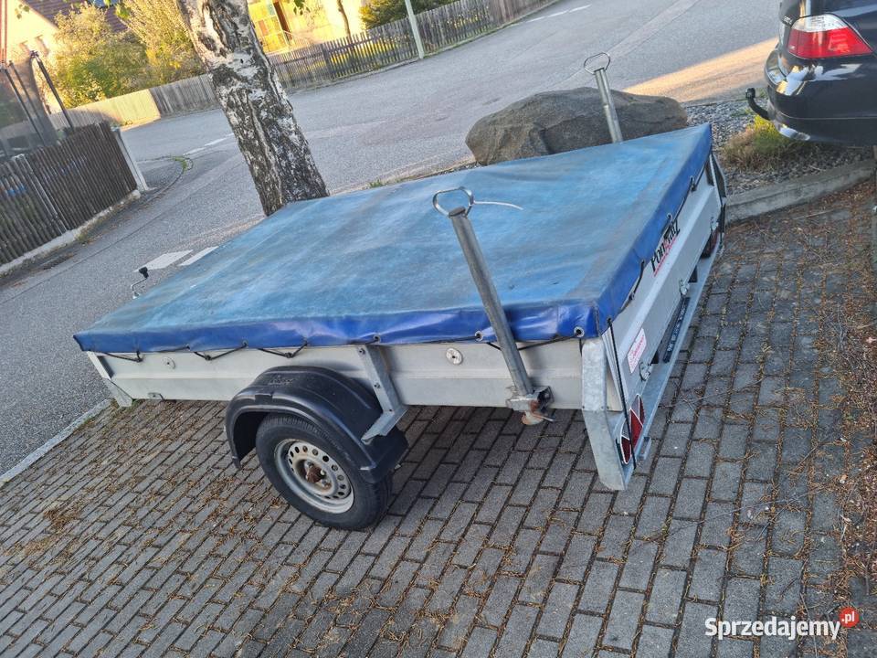 Przyczepa lekka 750 25x15 568kg Suchedniów