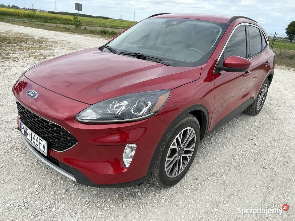 Kuga Escape SEL nieuszkodzony Września sprzedam