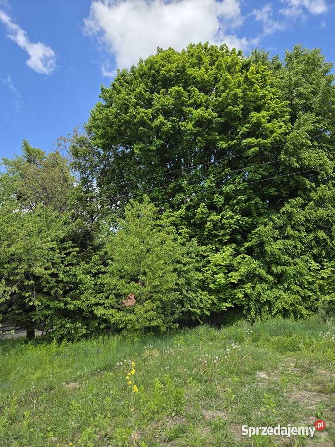 Gospodarstwo rolne Słupeczno