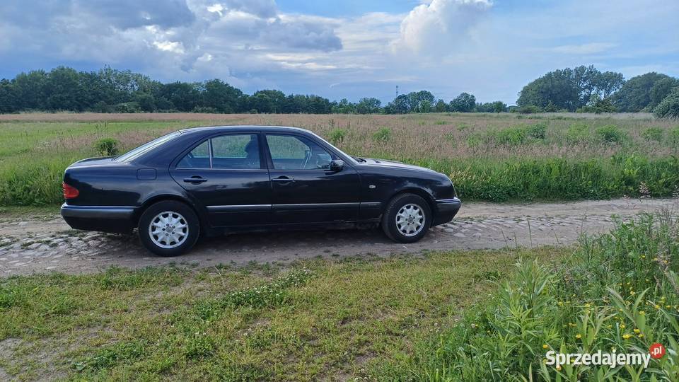 Mercedes W210 22 D