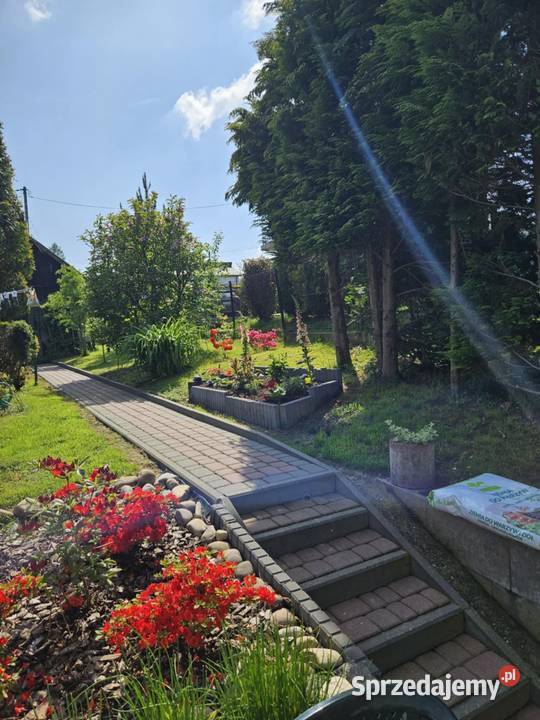 Stylowy dom z wyposażeniem w Zbylitowskiej Górze Zbylitowska Góra sprzedam