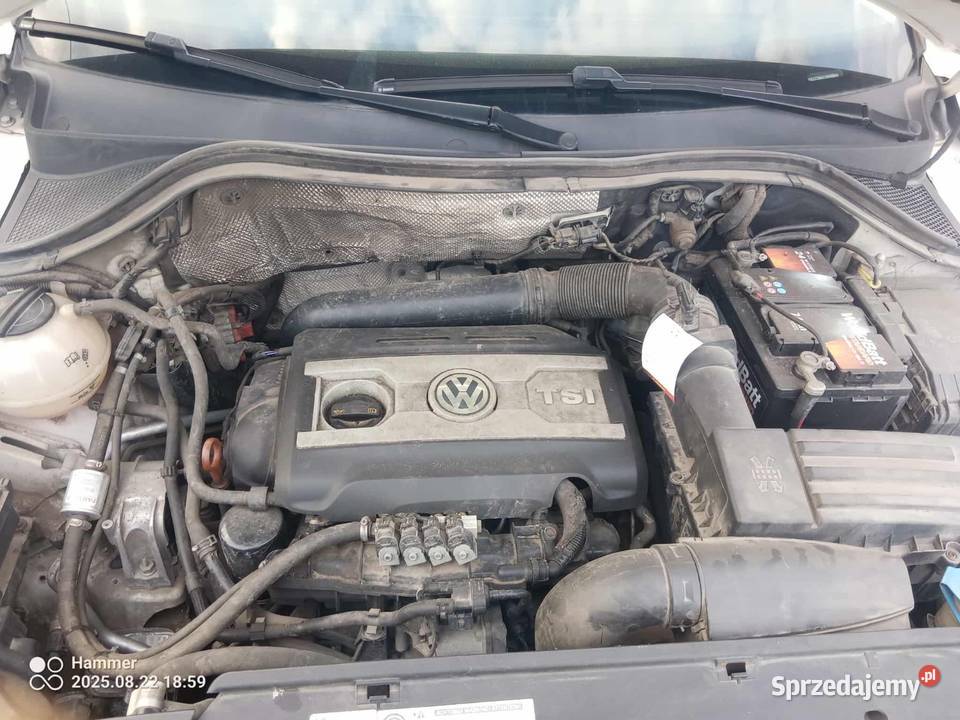 Volkswagen tiguan biały Pleszew