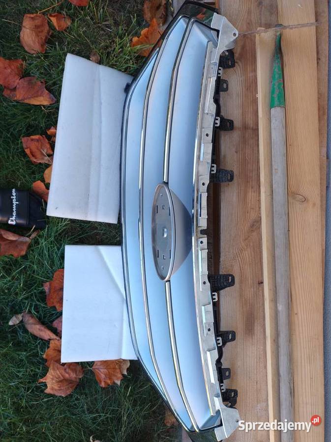 Grill atrapa Ford EDGE lubelskie Lublin