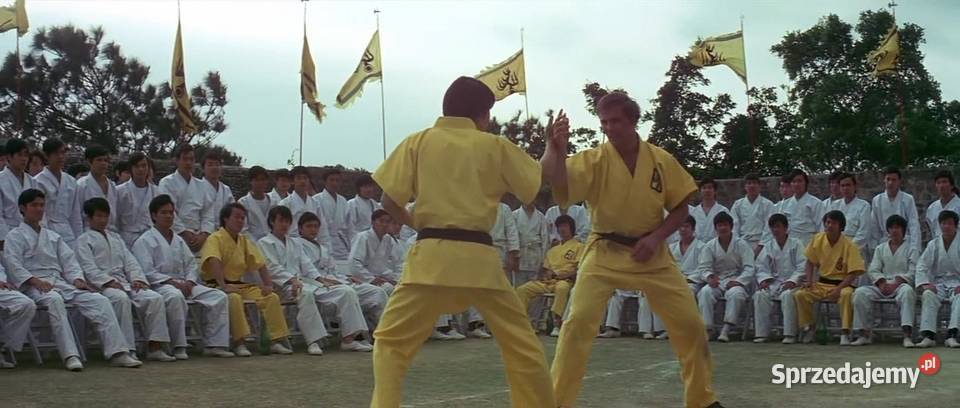 WEJŚCIE SMOKA BRUCE LEE IKONY KINA Kalisz