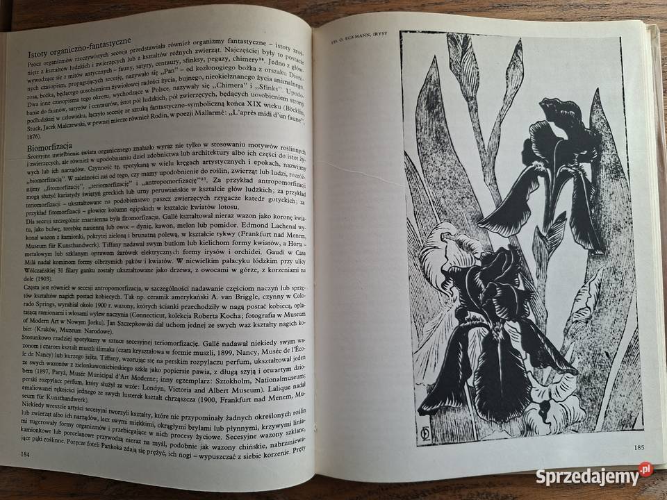 Secesja Mieczysław Wallis Arkady Kraków sprzedam