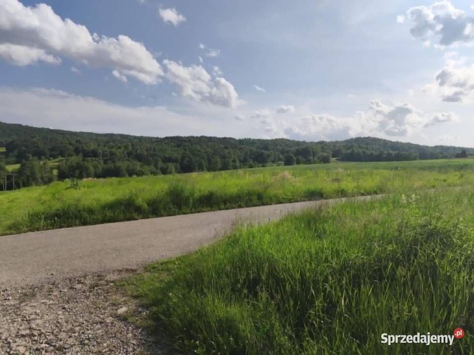 Lipnica Dolna 7 hektarów 33 ary dwie działki Sprzedaż małopolskie
