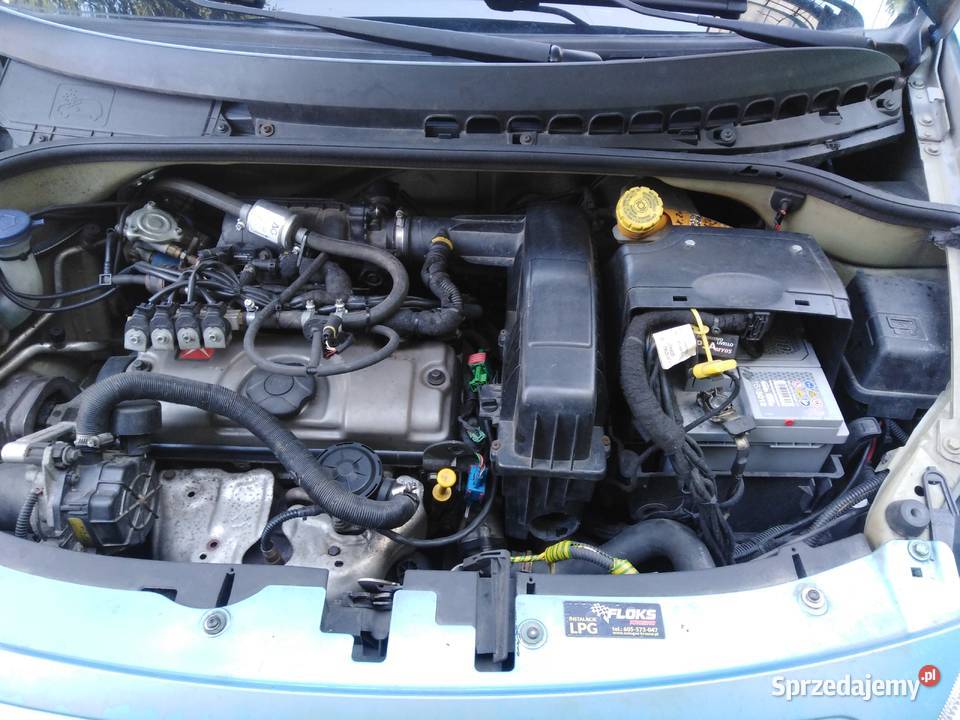 Citron C3 11 BenzynaLPG 2003r podkarpackie Dobieszyn