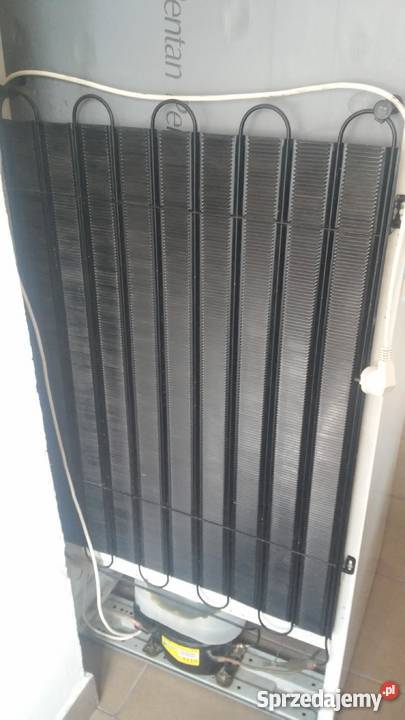 Duża lodówka Gorenje HS 2961 290 Szczytna