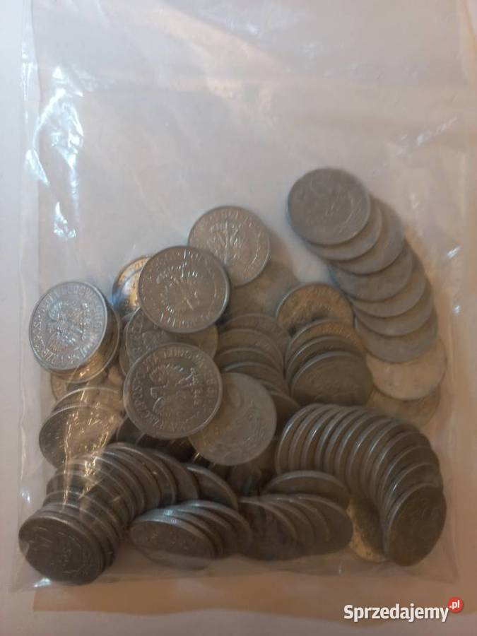 Paczka monet 50 gr obiegowe Piastów