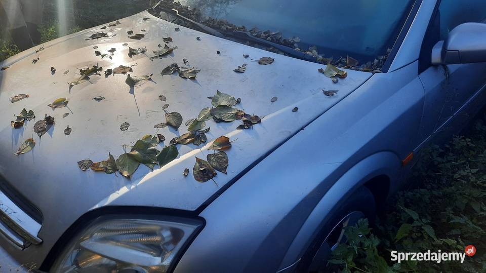 Opel Vectra 18 benzyna sedan 2003r Opole